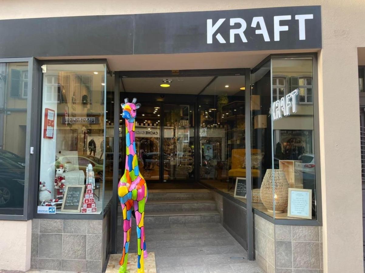Appartements Des 2 Tetes コルマール エクステリア 写真