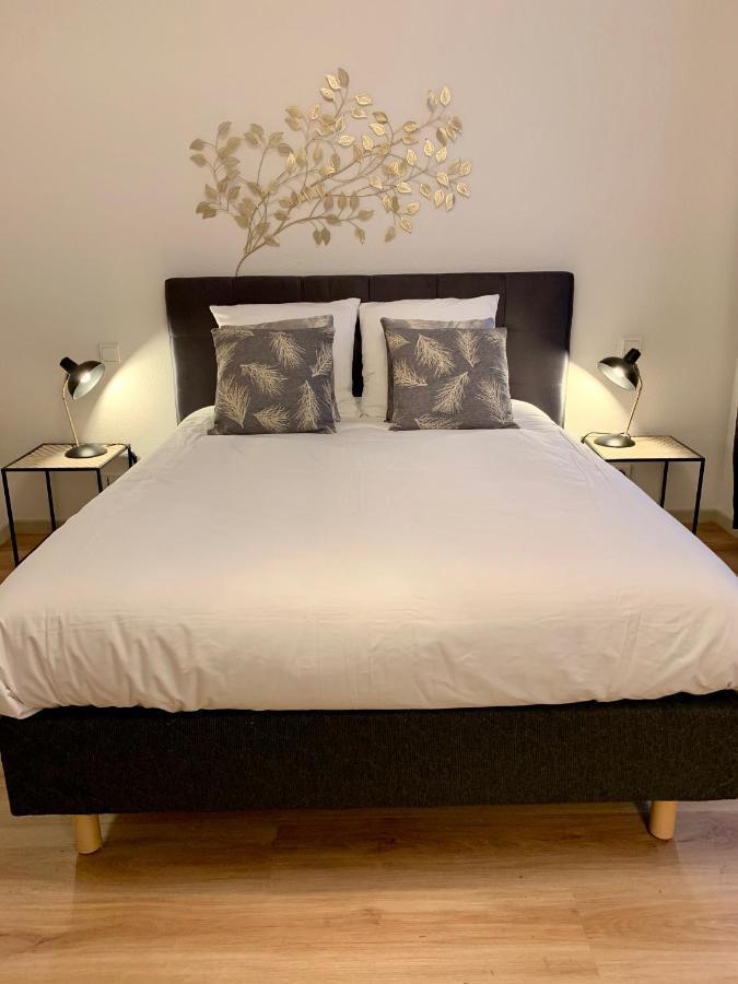 Appartements Des 2 Tetes コルマール エクステリア 写真