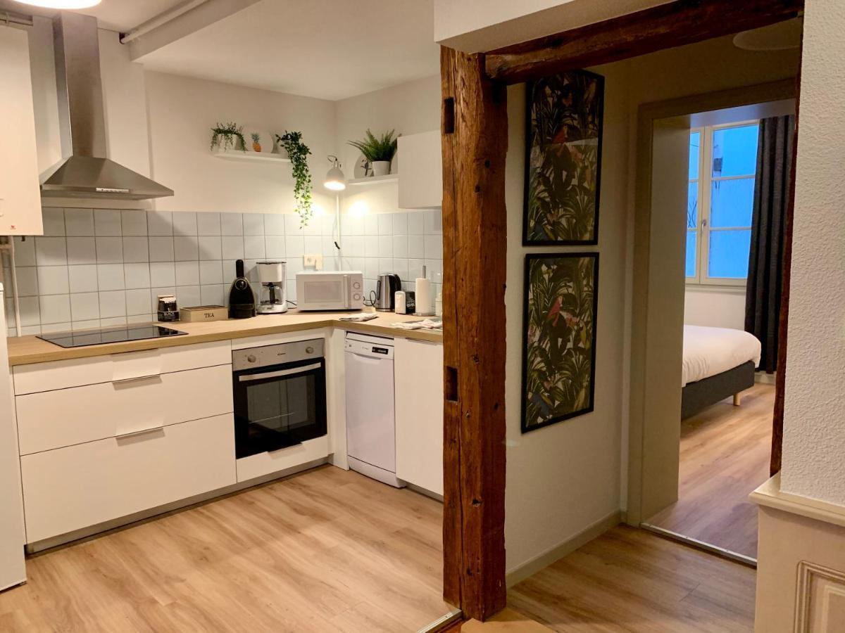 Appartements Des 2 Tetes コルマール エクステリア 写真
