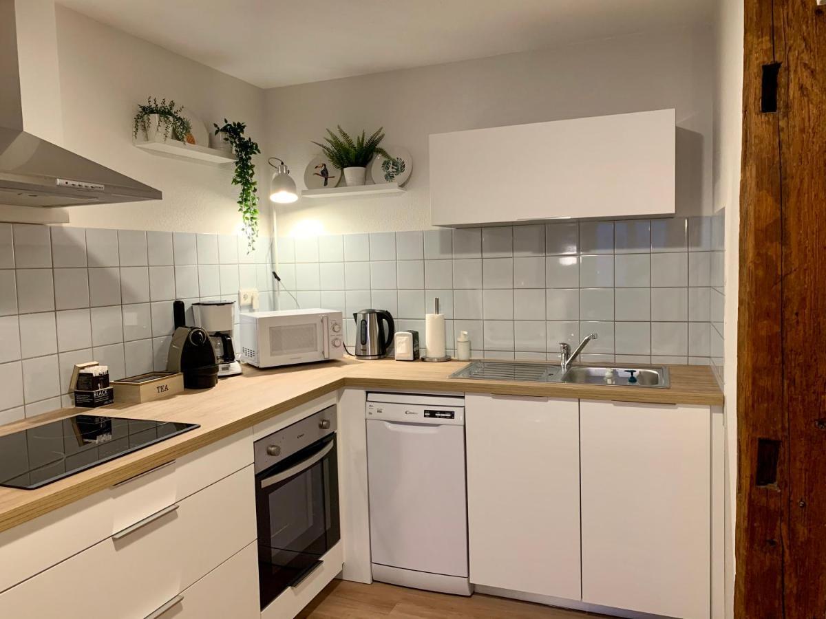 Appartements Des 2 Tetes コルマール エクステリア 写真
