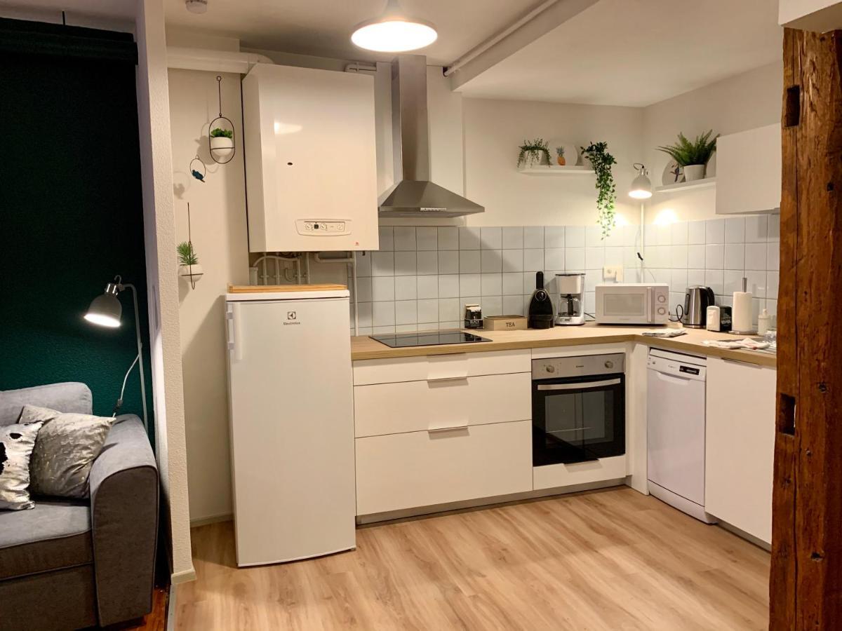 Appartements Des 2 Tetes コルマール エクステリア 写真